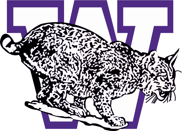 Weber State Wildcats 1983-1996 Secondary Logo diy iron on heat transfer